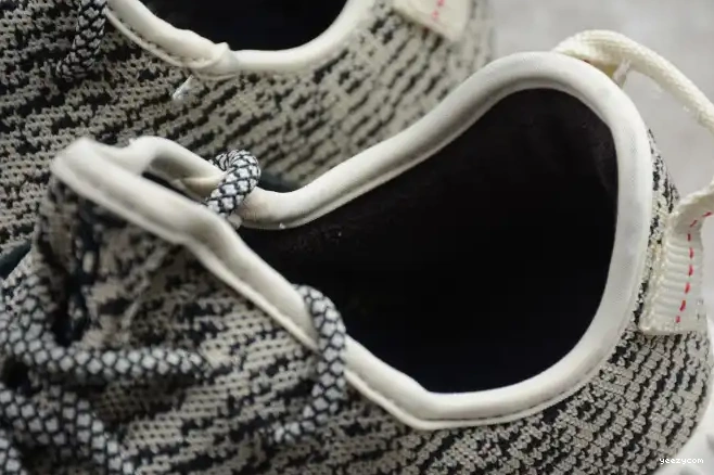 Boost Adidas Turtle 350 AQ4832 YEEZY Dove 0704